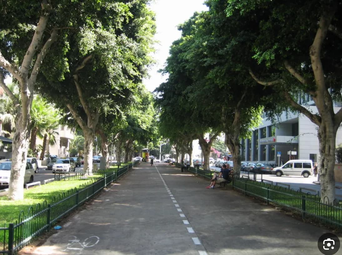 שדרות רוטשילד