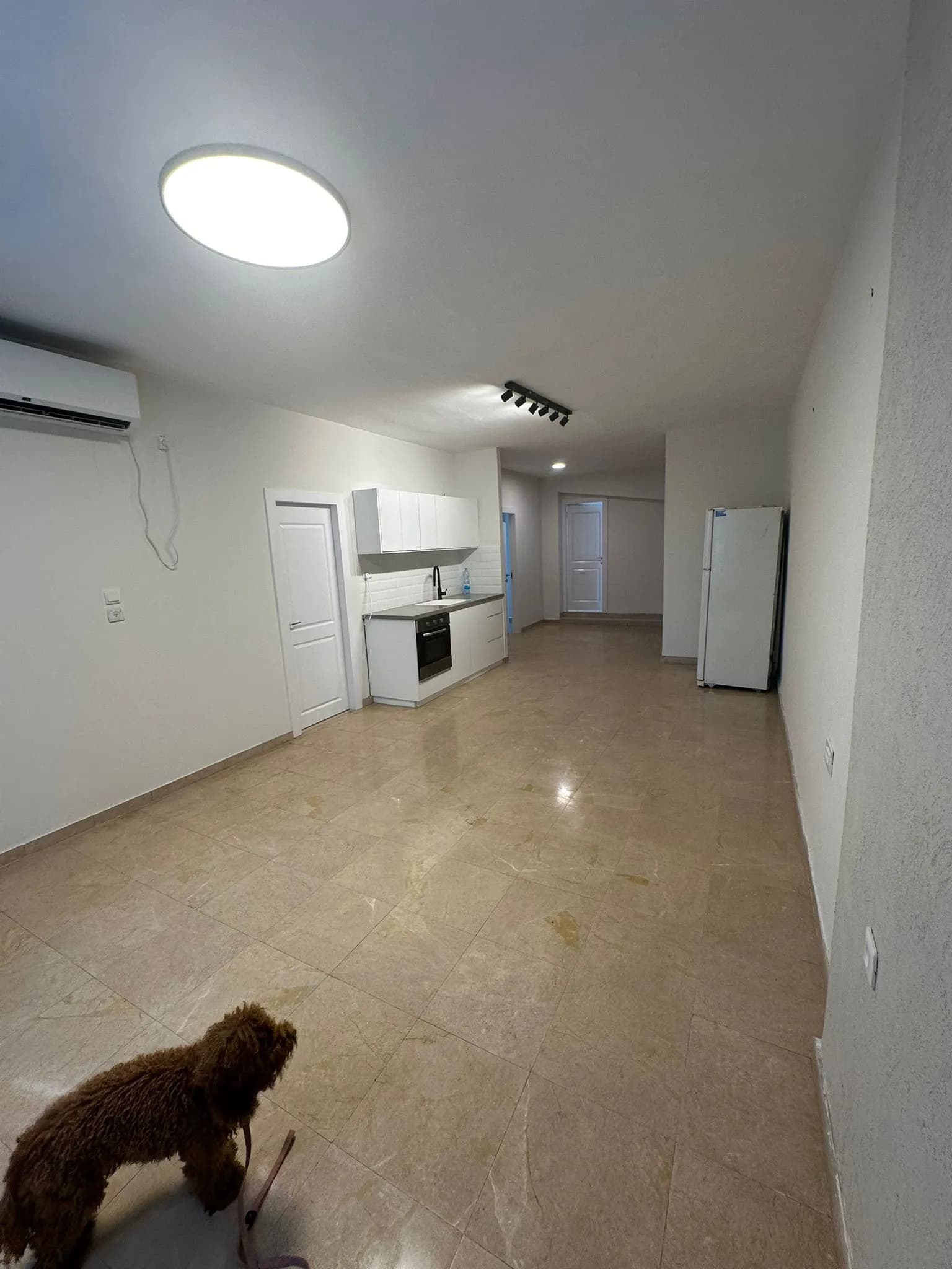 הדירה אחרי השיפוץ - תמונה 6