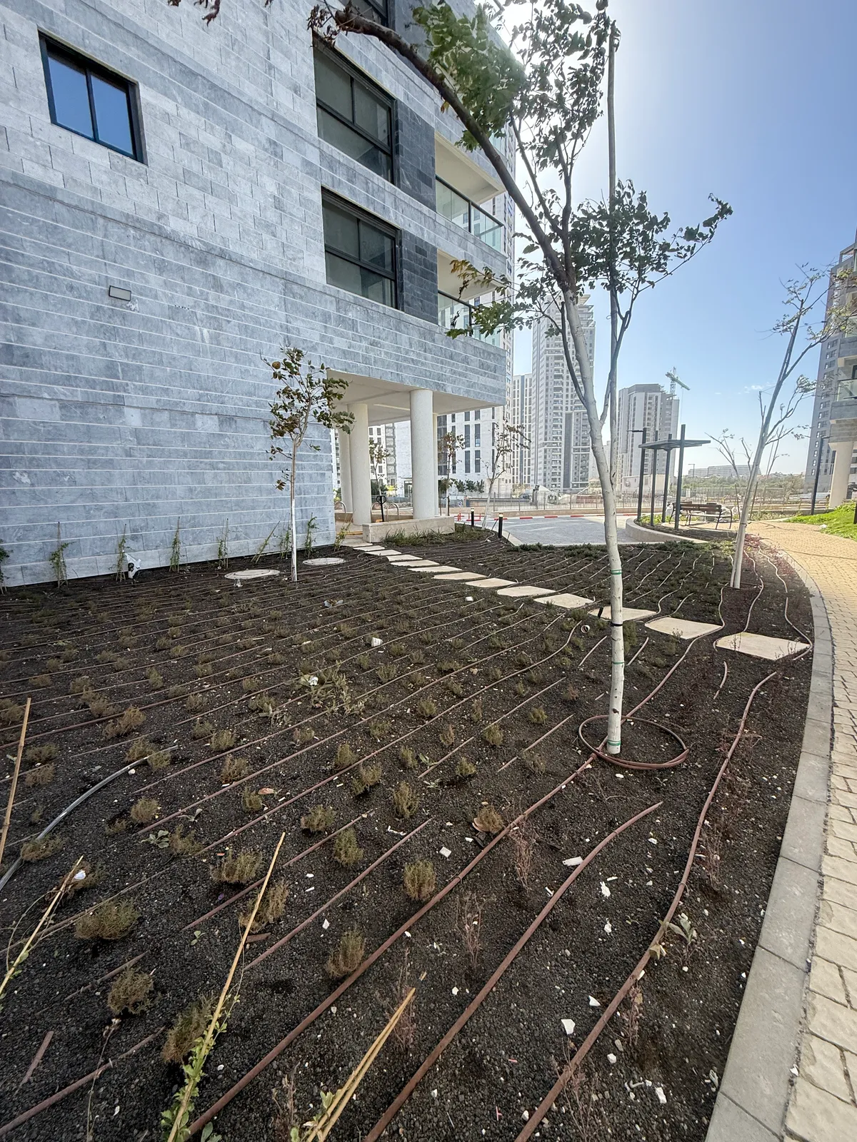 כוכב הפארק — צילום חזית בניינים + לובי + חדכ 7